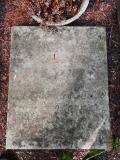 image of grave number 358001